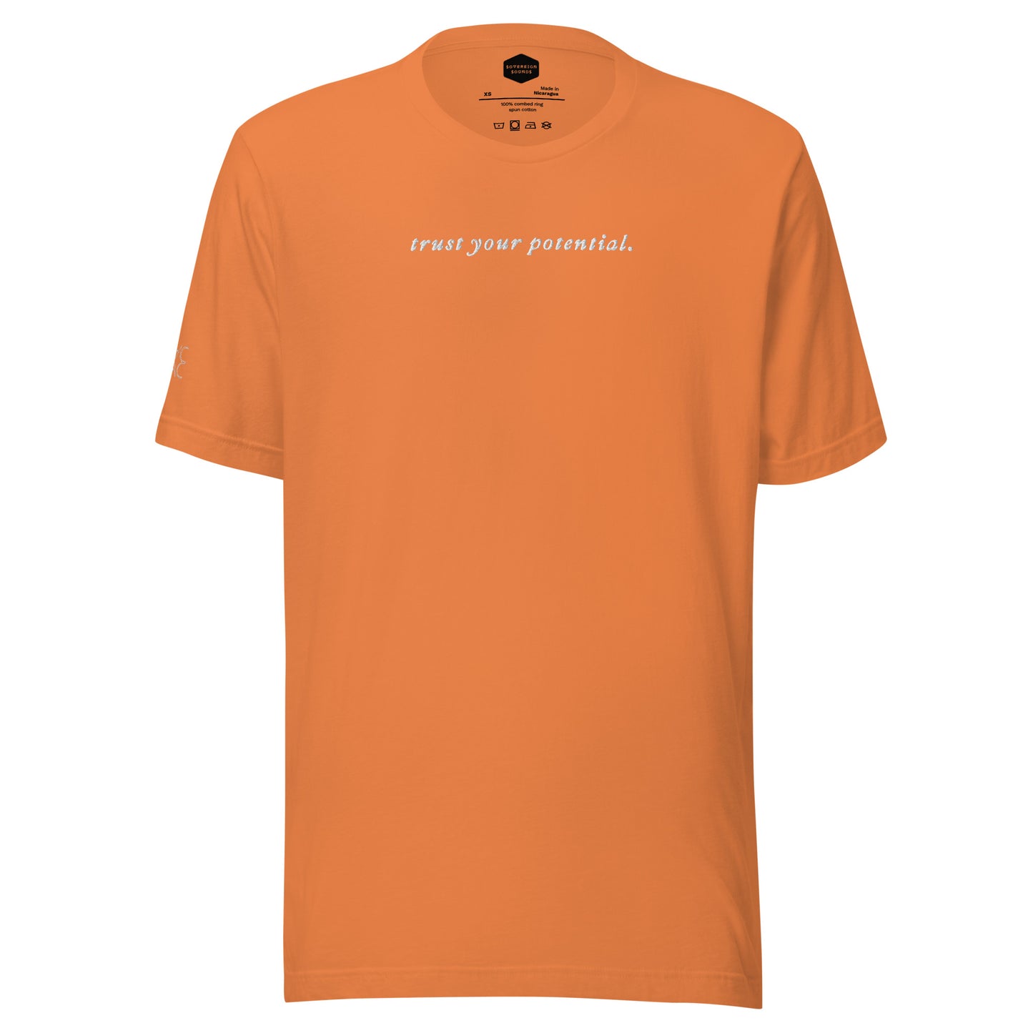 Trust Your Potential Shirt